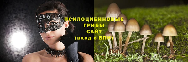 тгк Пересвет