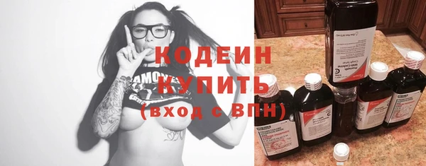 тгк Пересвет