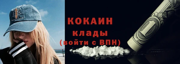 тгк Пересвет