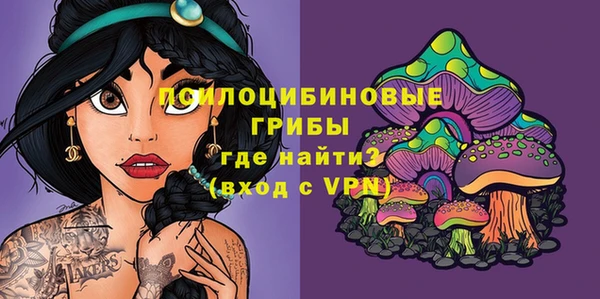 тгк Пересвет
