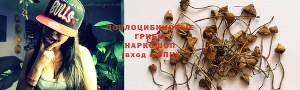 синтетический гашиш Пестово